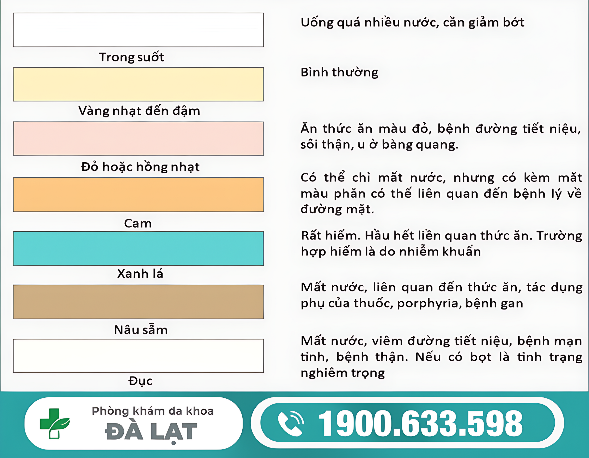 Hình ảnh minh họa